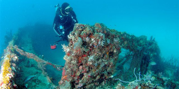 Dive With South Florida Diving Headquarters